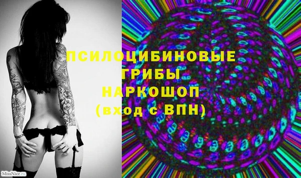 ГАЛЛЮЦИНОГЕННЫЕ ГРИБЫ Верея