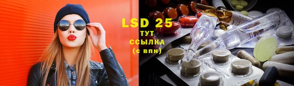 ГАЛЛЮЦИНОГЕННЫЕ ГРИБЫ Верея