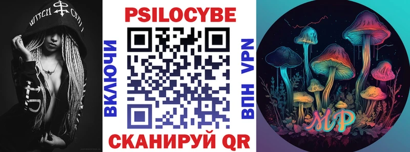 Галлюциногенные грибы Psilocybe Вологда