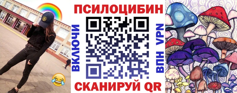 Псилоцибиновые грибы прущие грибы  KRAKEN онион  Вологда  сколько стоит 
